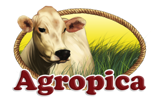 Agropecuaria Pineda C. A.